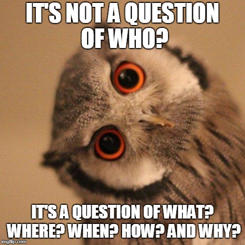 inquisitve owl | IT'S NOT A QUESTION OF WHO? IT'S A QUESTION OF WHAT? WHERE? WHEN? HOW? AND WHY? | image tagged in inquisitve owl | made w/ Imgflip meme maker