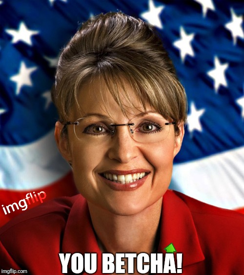 Palin dislike | YOU BETCHA! | image tagged in palin dislike | made w/ Imgflip meme maker