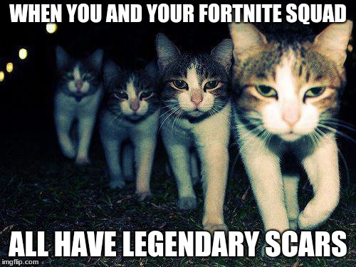 Wrong Neighboorhood Cats | WHEN YOU AND YOUR FORTNITE SQUAD; ALL HAVE LEGENDARY SCARS | image tagged in memes,wrong neighboorhood cats | made w/ Imgflip meme maker