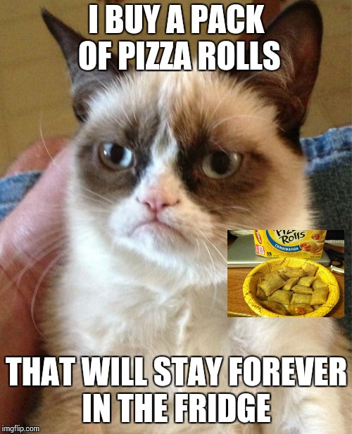 Grumpy Cat Meme | I BUY A PACK OF PIZZA ROLLS; THAT WILL STAY FOREVER  IN THE FRIDGE | image tagged in memes,grumpy cat | made w/ Imgflip meme maker