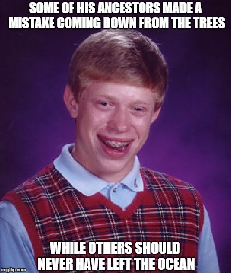 Lessons From an Ancestry Website | SOME OF HIS ANCESTORS MADE A MISTAKE COMING DOWN FROM THE TREES; WHILE OTHERS SHOULD NEVER HAVE LEFT THE OCEAN | image tagged in memes,bad luck brian | made w/ Imgflip meme maker