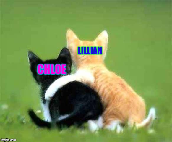 friends | LILLIAN; CHLOE | image tagged in friends | made w/ Imgflip meme maker