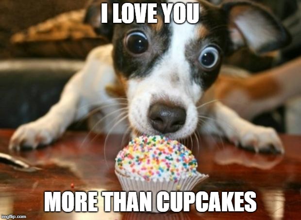 Cupcake Dog | I LOVE YOU; MORE THAN CUPCAKES | image tagged in cupcake dog | made w/ Imgflip meme maker