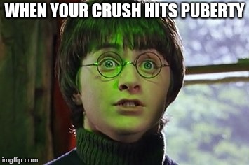 Harry Potter | WHEN YOUR CRUSH HITS PUBERTY | image tagged in harry potter | made w/ Imgflip meme maker