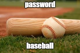 password:  baseball | password; baseball | image tagged in baseball | made w/ Imgflip meme maker