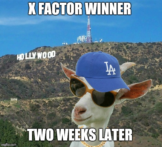 Don't Worry | X FACTOR WINNER; TWO WEEKS LATER | image tagged in don't worry | made w/ Imgflip meme maker