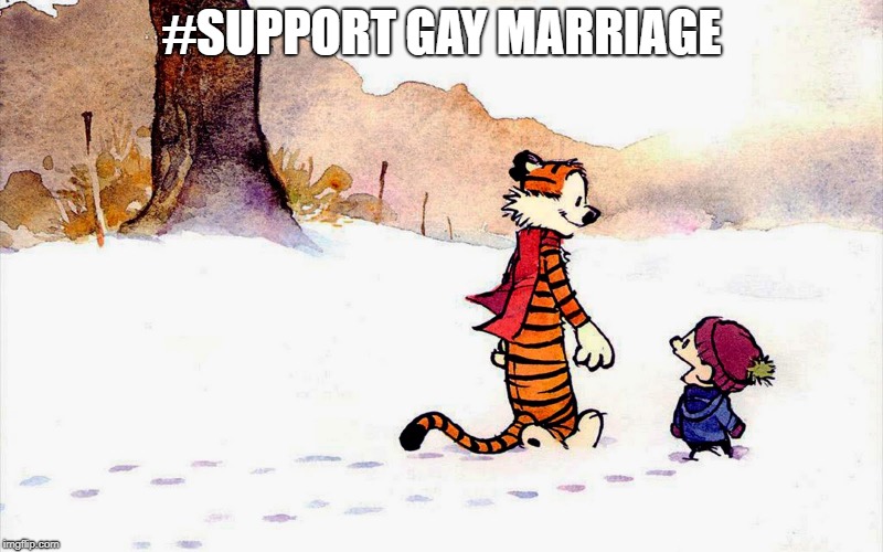 HA GAAAAAAAAAAY | #SUPPORT GAY MARRIAGE | image tagged in calvin and hobbes,gay,gay marriage,gay pride,gay rights,ha gayyy | made w/ Imgflip meme maker