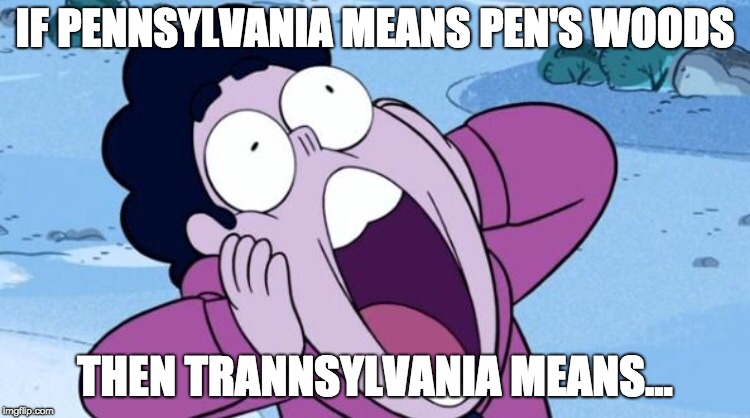 Steven Universe NOOO | IF PENNSYLVANIA MEANS PEN'S WOODS; THEN TRANNSYLVANIA MEANS... | image tagged in steven universe nooo | made w/ Imgflip meme maker