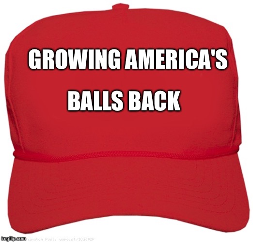 blank red MAGA hat | GROWING AMERICA'S; BALLS BACK | image tagged in blank red maga hat | made w/ Imgflip meme maker