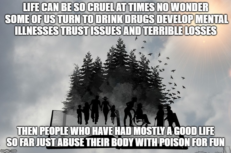 LIFE 2 | THEN PEOPLE WHO HAVE HAD MOSTLY A GOOD LIFE SO FAR JUST ABUSE THEIR BODY WITH POISON FOR FUN | image tagged in life,addiction,crippling depression | made w/ Imgflip meme maker