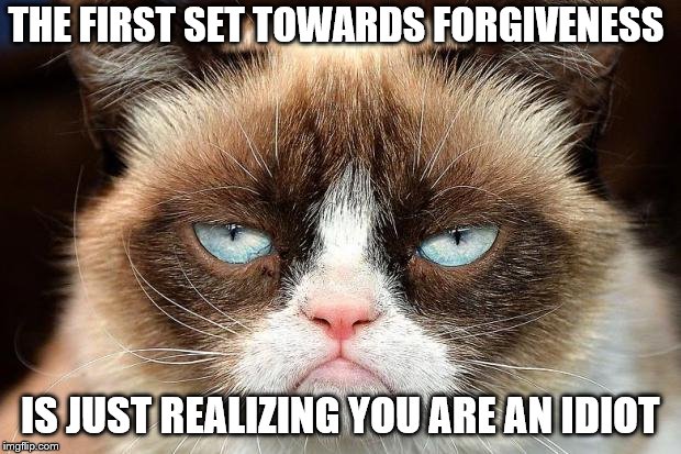 Grumpy Cat Not Amused | THE FIRST SET TOWARDS FORGIVENESS; IS JUST REALIZING YOU ARE AN IDIOT | image tagged in memes,grumpy cat not amused,grumpy cat | made w/ Imgflip meme maker