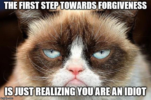 Grumpy Cat Not Amused Meme | THE FIRST STEP TOWARDS FORGIVENESS; IS JUST REALIZING YOU ARE AN IDIOT | image tagged in memes,grumpy cat not amused,grumpy cat | made w/ Imgflip meme maker