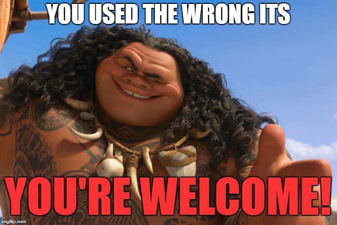 Maui You're Welcome | YOU USED THE WRONG ITS YOU'RE WELCOME! | image tagged in maui you're welcome | made w/ Imgflip meme maker