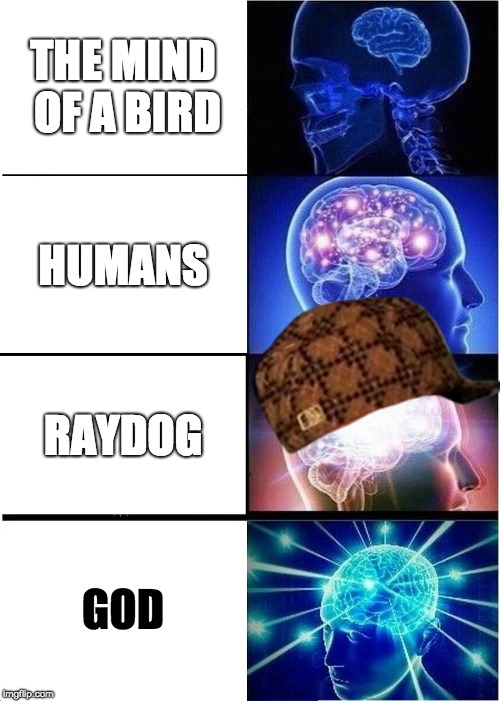 Expanding Brain Meme | THE MIND OF A BIRD; HUMANS; RAYDOG; GOD | image tagged in memes,expanding brain,scumbag | made w/ Imgflip meme maker