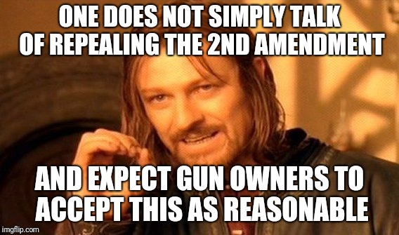 boromir 2a repeal | ONE DOES NOT SIMPLY TALK OF REPEALING THE 2ND AMENDMENT; AND EXPECT GUN OWNERS TO ACCEPT THIS AS REASONABLE | image tagged in memes,one does not simply | made w/ Imgflip meme maker