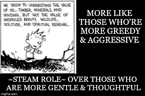 More Like.... | MORE LIKE THOSE WHO'RE MORE GREEDY & AGGRESSIVE; ~STEAM ROLE~ OVER THOSE WHO ARE MORE GENTLE & THOUGHTFUL | image tagged in calvin and hobbes,value,spiritual renewal,aggressive,gentle | made w/ Imgflip meme maker