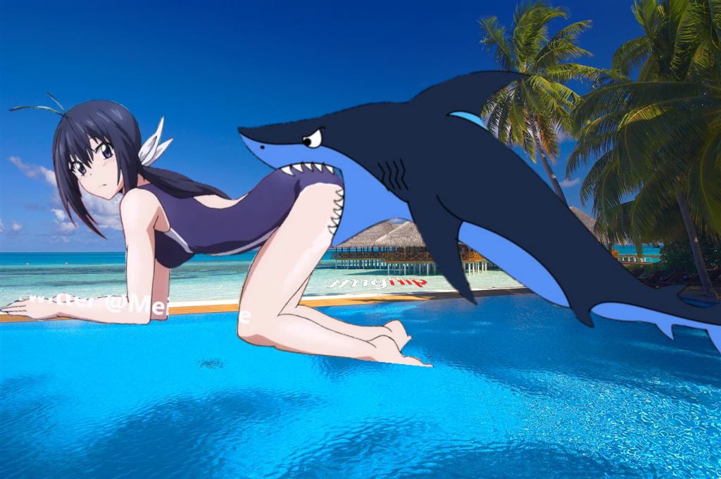 No "Mean shark bite ass keijo" memes have been featured yet. 