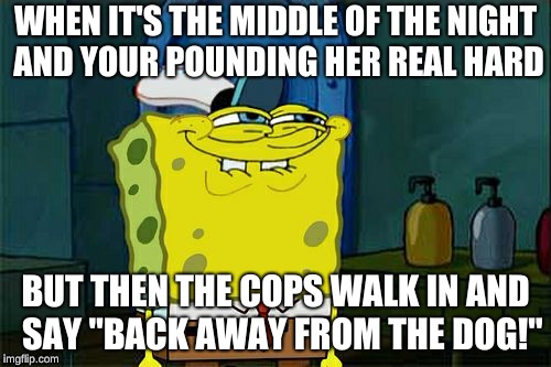 Don't You Squidward Meme | WHEN IT'S THE MIDDLE OF THE NIGHT AND YOUR POUNDING HER REAL HARD; BUT THEN THE COPS WALK IN AND  SAY "BACK AWAY FROM THE DOG!" | image tagged in memes,dont you squidward | made w/ Imgflip meme maker