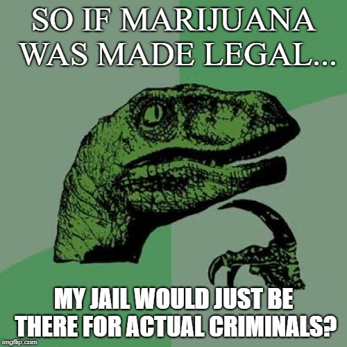 Philosoraptor Meme | SO IF MARIJUANA WAS MADE LEGAL... MY JAIL WOULD JUST BE THERE FOR ACTUAL CRIMINALS? | image tagged in memes,philosoraptor | made w/ Imgflip meme maker