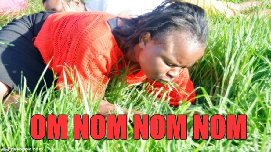 eating grass | OM NOM NOM NOM | image tagged in eating grass | made w/ Imgflip meme maker