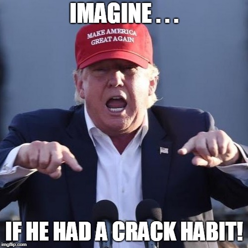 It's Not That Bad | IMAGINE . . . IF HE HAD A CRACK HABIT! | image tagged in donald trump,trump,maga | made w/ Imgflip meme maker