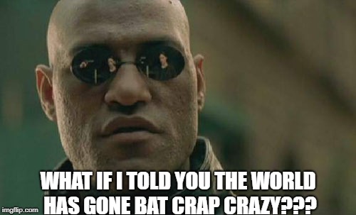 Matrix Morpheus Meme | WHAT IF I TOLD YOU THE WORLD HAS GONE BAT CRAP CRAZY??? | image tagged in memes,matrix morpheus | made w/ Imgflip meme maker