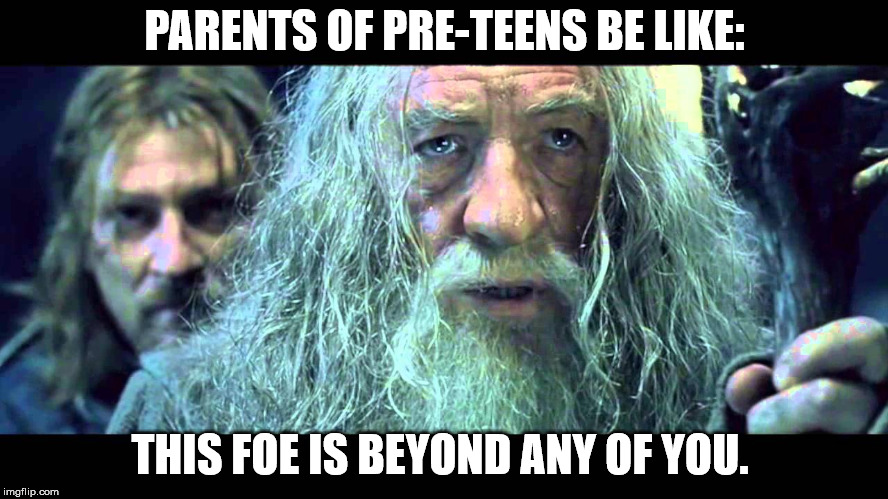 THE BATTLE OF PARENTHOOD | PARENTS OF PRE-TEENS BE LIKE:; THIS FOE IS BEYOND ANY OF YOU. | image tagged in teenagers,gandalf,parenting | made w/ Imgflip meme maker