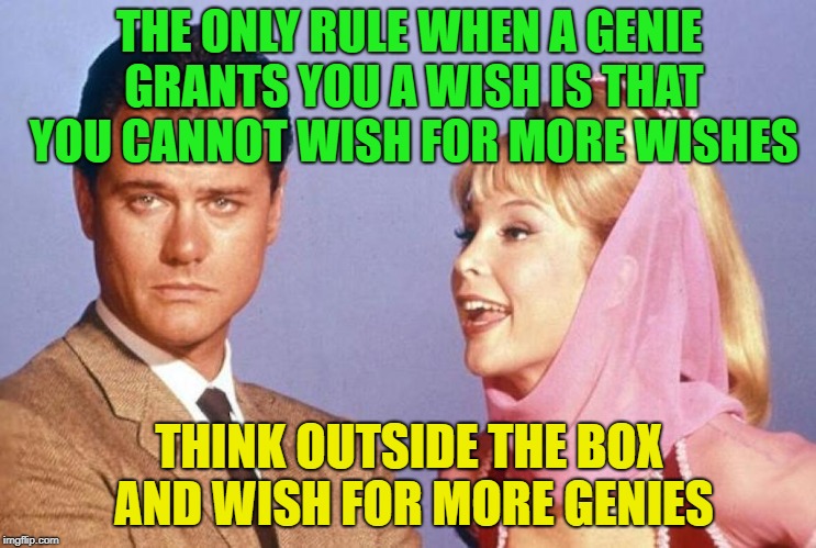 The moral is that, every situation has a loop hole | THE ONLY RULE WHEN A GENIE GRANTS YOU A WISH IS THAT YOU CANNOT WISH FOR MORE WISHES; THINK OUTSIDE THE BOX AND WISH FOR MORE GENIES | image tagged in genie,wish,memes,funy,think outside the box | made w/ Imgflip meme maker