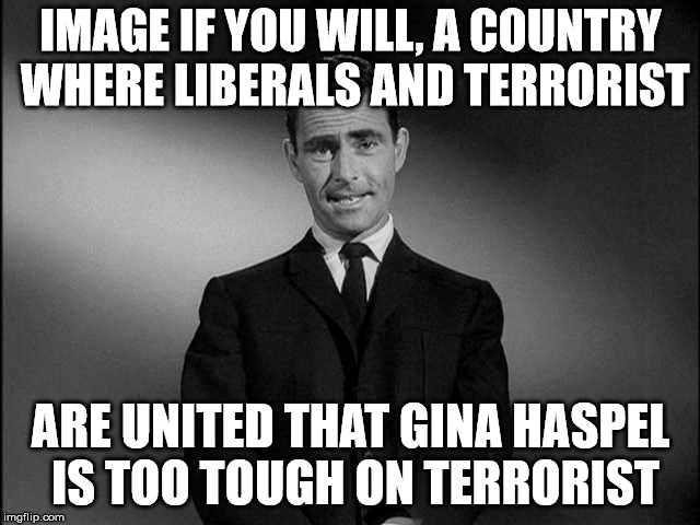 Liberals and Terrorists united for a cause |  IMAGE IF YOU WILL, A COUNTRY WHERE LIBERALS AND TERRORIST; ARE UNITED THAT GINA HASPEL IS TOO TOUGH ON TERRORIST | image tagged in rod serling twilight zone,gina haspel,liberal logic,terrorist | made w/ Imgflip meme maker