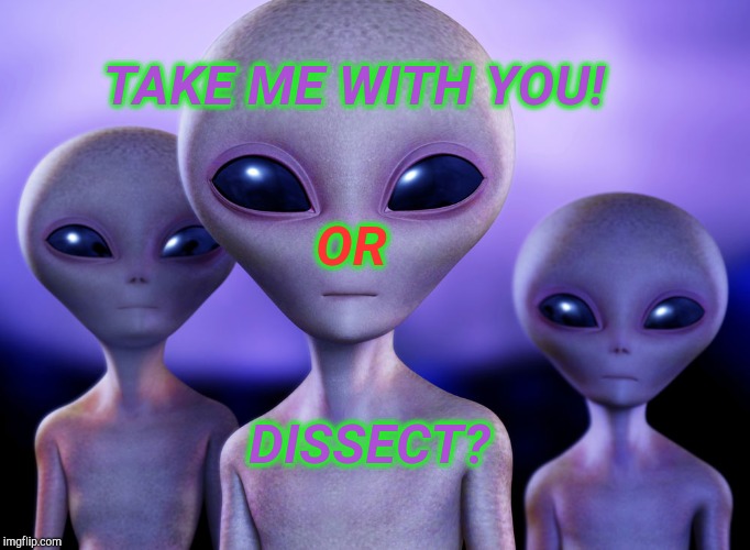 Dilemma.  Dilemma. | TAKE ME WITH YOU! OR; DISSECT? | image tagged in ancient aliens,aliens,alien,hmmm,spaceship,outer space | made w/ Imgflip meme maker