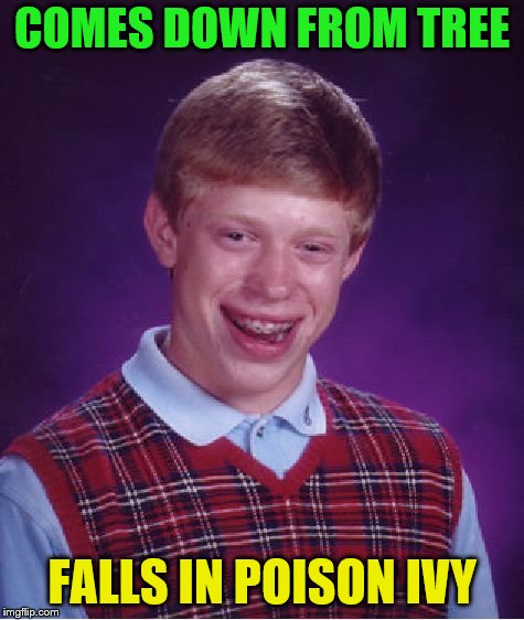 Bad Luck Brian Meme | COMES DOWN FROM TREE FALLS IN POISON IVY | image tagged in memes,bad luck brian | made w/ Imgflip meme maker