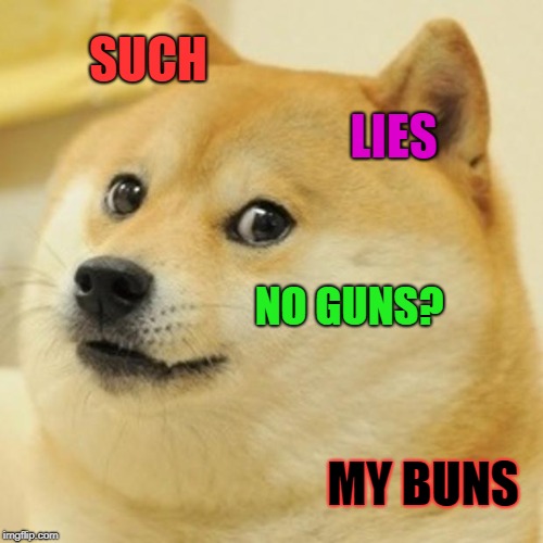 Doge Meme | SUCH LIES NO GUNS? MY BUNS | image tagged in memes,doge | made w/ Imgflip meme maker