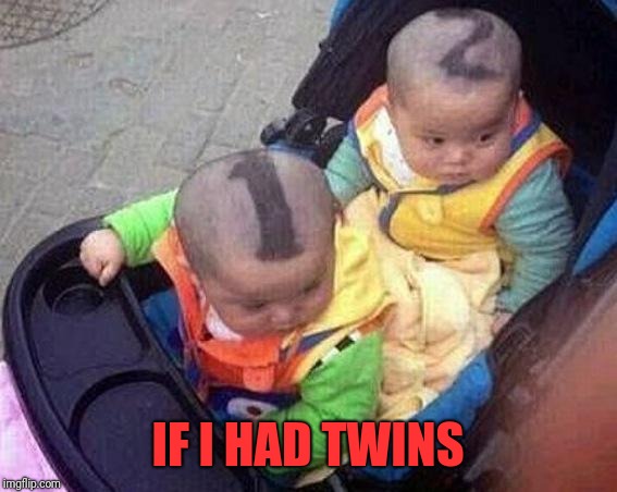 How to tell them apart 101 | IF I HAD TWINS | image tagged in memes,funny,dank,wonder twins,tell them apart | made w/ Imgflip meme maker