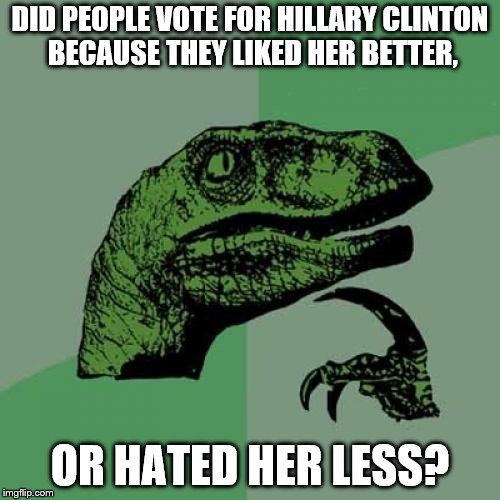 Philosoraptor Meme | DID PEOPLE VOTE FOR HILLARY CLINTON BECAUSE THEY LIKED HER BETTER, OR HATED HER LESS? | image tagged in memes,philosoraptor | made w/ Imgflip meme maker