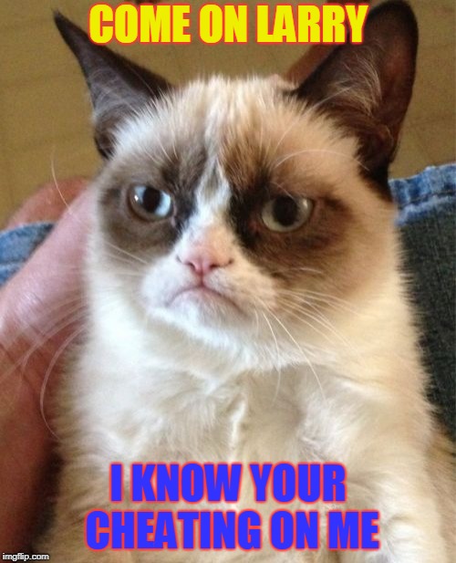 Grumpy Cat Meme | COME ON LARRY; I KNOW YOUR CHEATING ON ME | image tagged in memes,grumpy cat | made w/ Imgflip meme maker