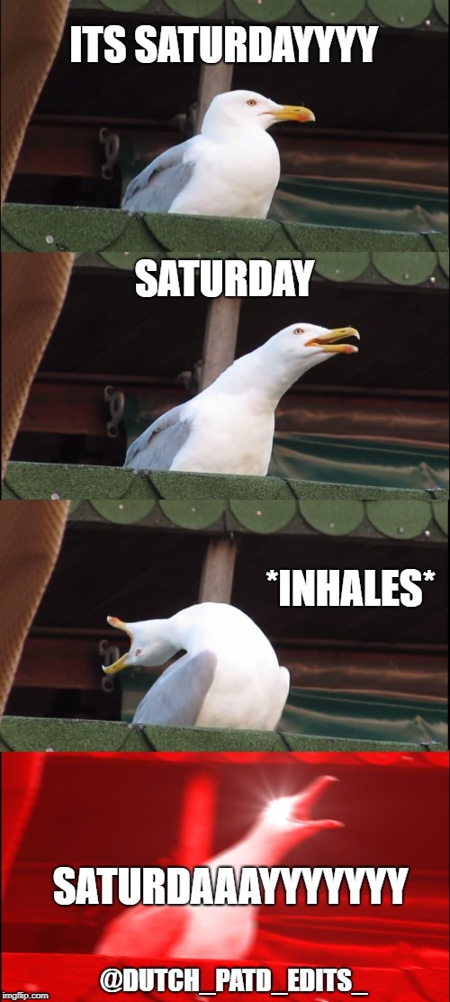 Inhaling Seagull Meme | ITS SATURDAYYYY; SATURDAY; *INHALES*; SATURDAAAYYYYYYY; @DUTCH_PATD_EDITS_ | image tagged in memes,inhaling seagull | made w/ Imgflip meme maker