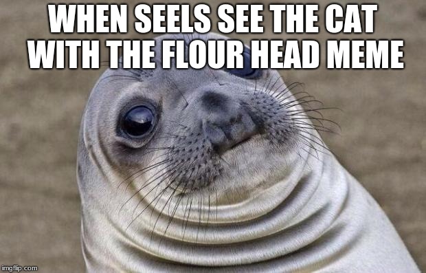 Awkward Moment Sealion Meme | WHEN SEELS SEE THE CAT WITH THE FLOUR HEAD MEME | image tagged in memes,awkward moment sealion | made w/ Imgflip meme maker
