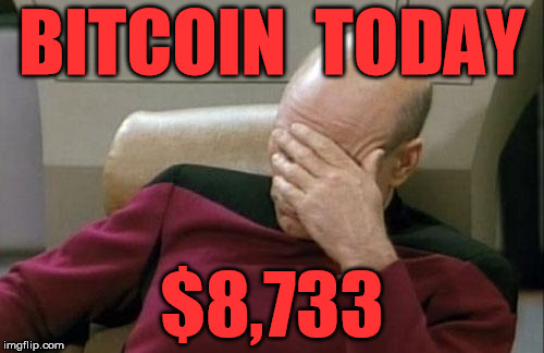 Captain Picard Facepalm Meme | BITCOIN  TODAY; $8,733 | image tagged in memes,captain picard facepalm | made w/ Imgflip meme maker