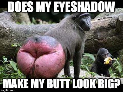 oblivious female | DOES MY EYESHADOW; MAKE MY BUTT LOOK BIG? | image tagged in oblivious female | made w/ Imgflip meme maker