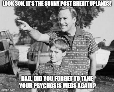 Look Son | LOOK SON. IT'S THE SUNNY POST BREXIT UPLANDS! DAD. DID YOU FORGET TO TAKE YOUR PSYCHOSIS MEDS AGAIN? | image tagged in memes,look son | made w/ Imgflip meme maker