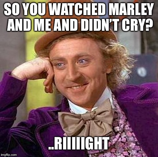 Sure ya did | SO YOU WATCHED MARLEY AND ME AND DIDN’T CRY? ..RIIIIIGHT | image tagged in memes,creepy condescending wonka | made w/ Imgflip meme maker