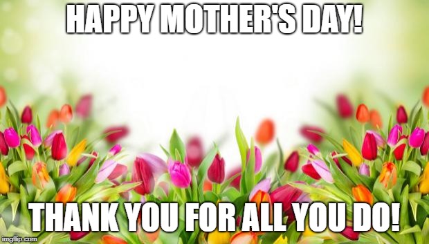flowers | HAPPY MOTHER'S DAY! THANK YOU FOR ALL YOU DO! | image tagged in flowers | made w/ Imgflip meme maker