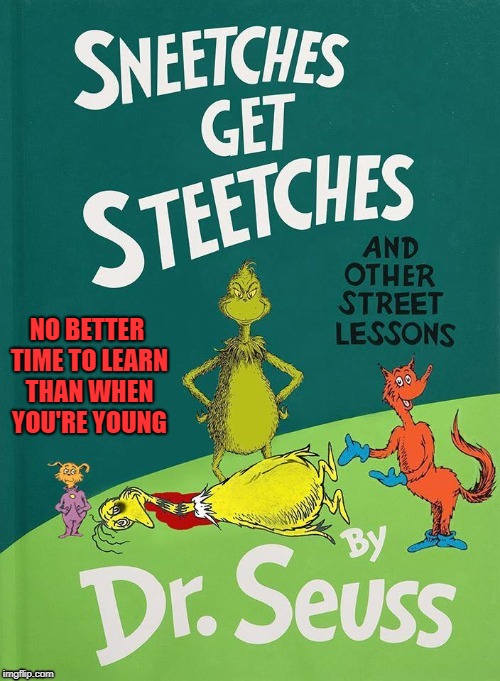 Want to change their smile to a frown...teach them life lessons while beating them down!!! |  NO BETTER TIME TO LEARN THAN WHEN YOU'RE YOUNG | image tagged in dr seuss,memes,sneetches,funny,children's books,life lessons | made w/ Imgflip meme maker