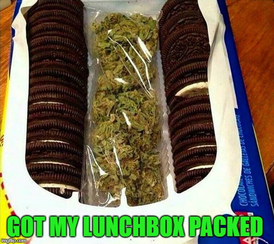 I can't believe I never thought of this before!!! | GOT MY LUNCHBOX PACKED | image tagged in oreos,memes,lunch,funny,marijuana,lunchbox | made w/ Imgflip meme maker