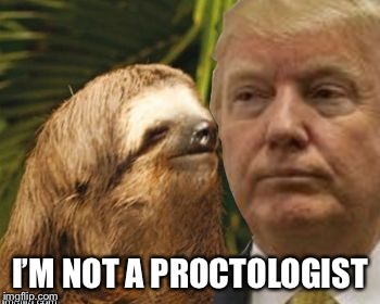 Political advice sloth | I’M NOT A PROCTOLOGIST | image tagged in political advice sloth | made w/ Imgflip meme maker