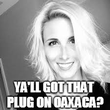 Y'all got that plug? | YA'LL GOT THAT PLUG ON OAXACA? | image tagged in this is america,childish gambino,plug,oaxaca,white people,white woman | made w/ Imgflip meme maker