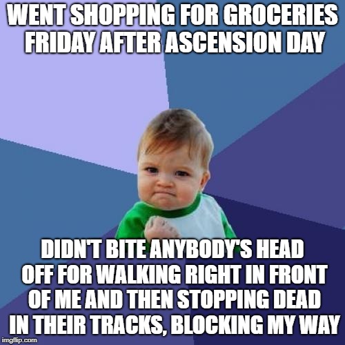 The temptation was strong, let me tell you | WENT SHOPPING FOR GROCERIES FRIDAY AFTER ASCENSION DAY; DIDN'T BITE ANYBODY'S HEAD OFF FOR WALKING RIGHT IN FRONT OF ME AND THEN STOPPING DEAD IN THEIR TRACKS, BLOCKING MY WAY | image tagged in memes,success kid | made w/ Imgflip meme maker