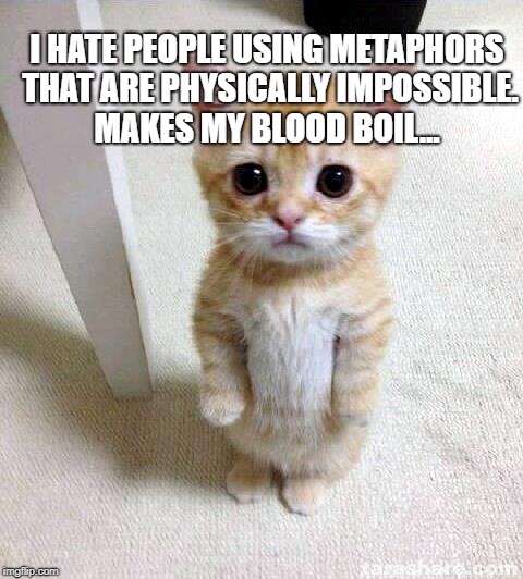 Cute Cat | I HATE PEOPLE USING METAPHORS THAT ARE PHYSICALLY IMPOSSIBLE. MAKES MY BLOOD BOIL... | image tagged in memes,cute cat | made w/ Imgflip meme maker