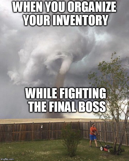 We all have messy inventories, right? | WHEN YOU ORGANIZE YOUR INVENTORY; WHILE FIGHTING THE FINAL BOSS | image tagged in lawnmower man,messy inventories | made w/ Imgflip meme maker