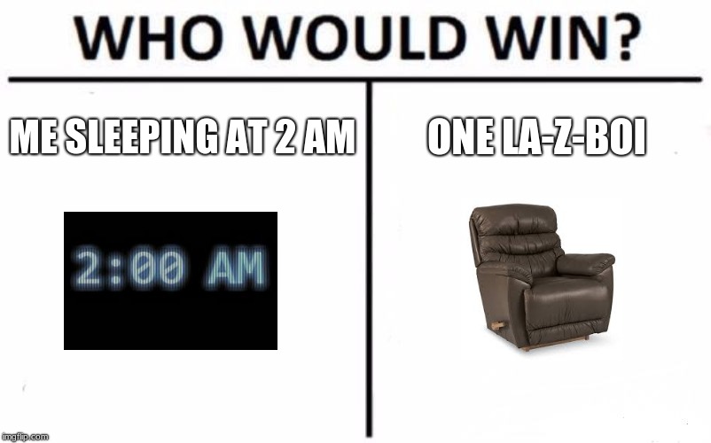 my sanity | ME SLEEPING AT 2 AM; ONE LA-Z-BOI | image tagged in memes,who would win | made w/ Imgflip meme maker